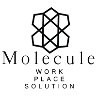 Molecule Pakistan