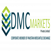 DMC Market Pvt Limited
