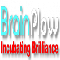 BrainPlow