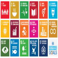 Development Organisation