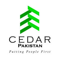 Cedar Financial