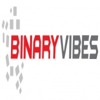 Binary Vibes