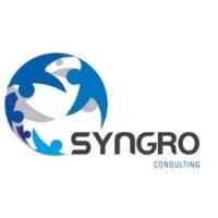 Syngro Consulting