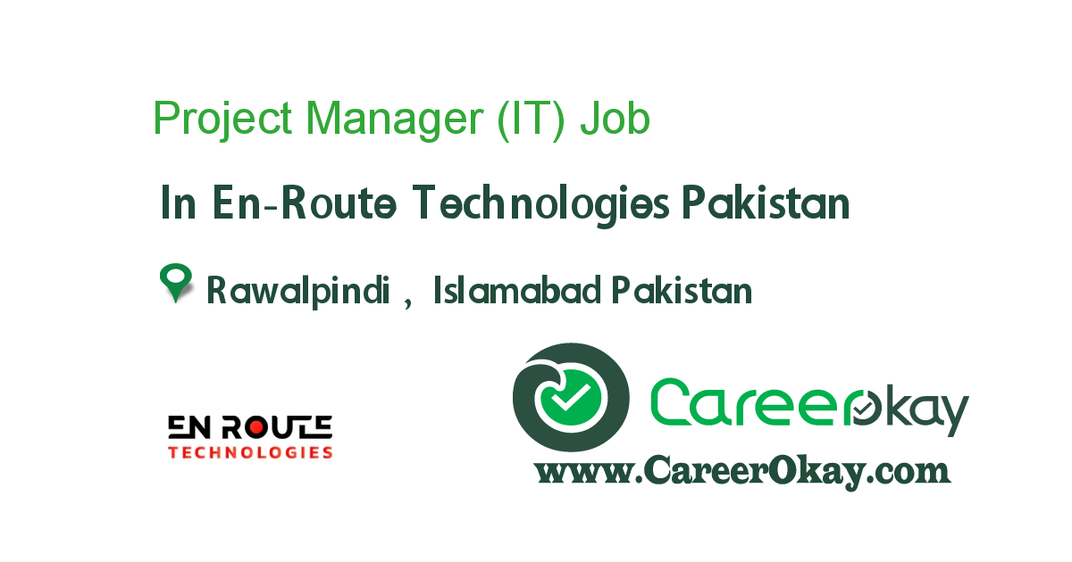 Project Manager (IT)