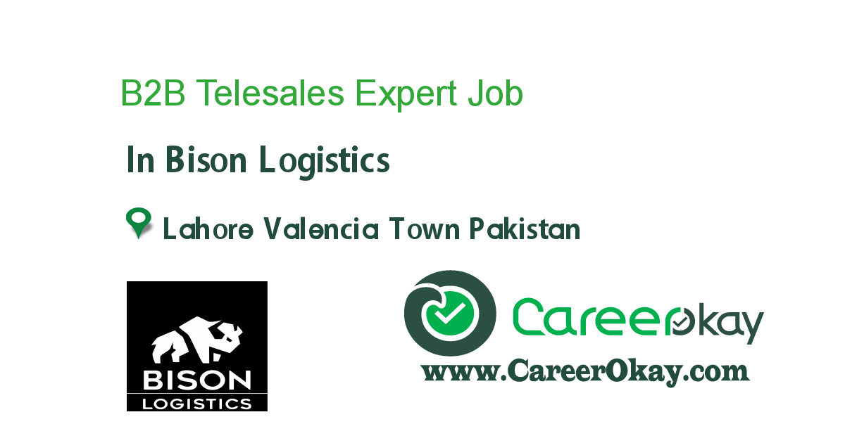 B2B Telesales Expert