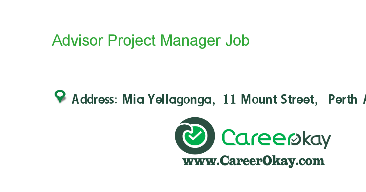  Project Manager 