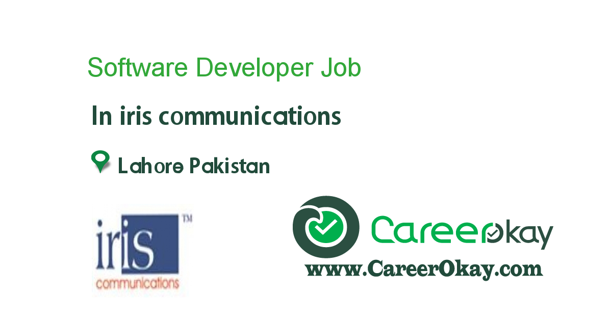 Software Developer