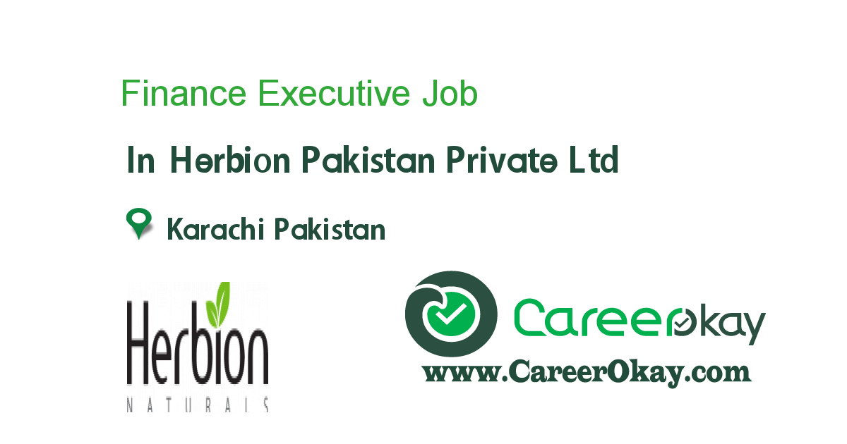 Finance Executive 