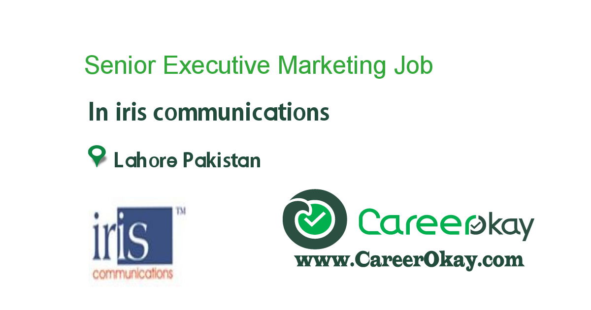 Senior Executive Marketing