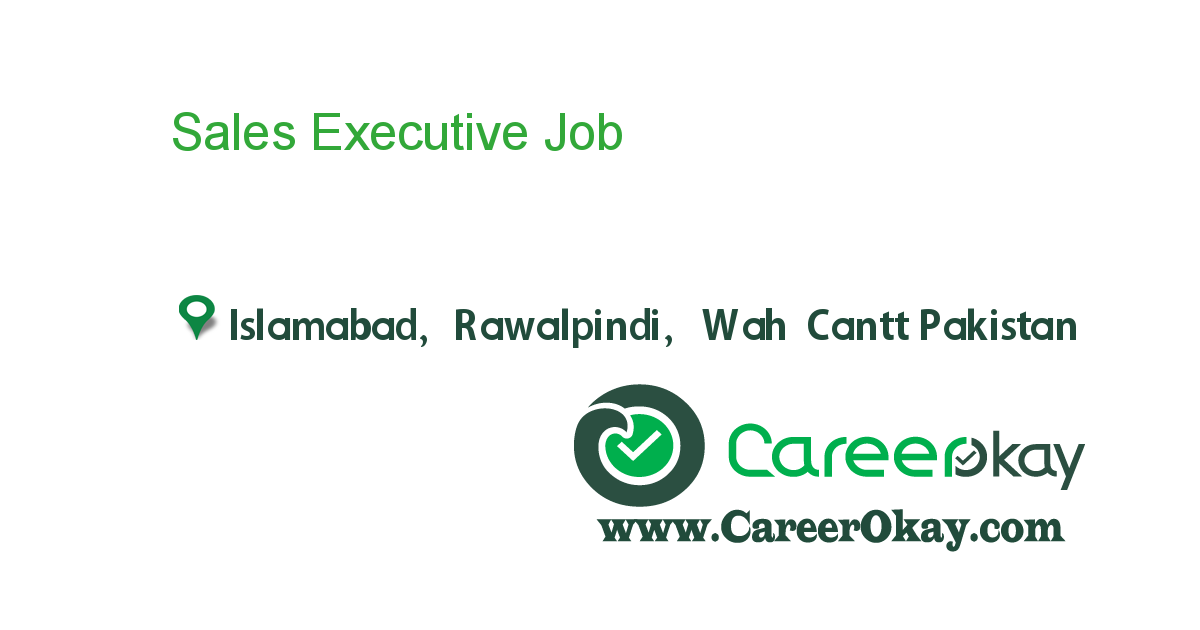 Sales Executive