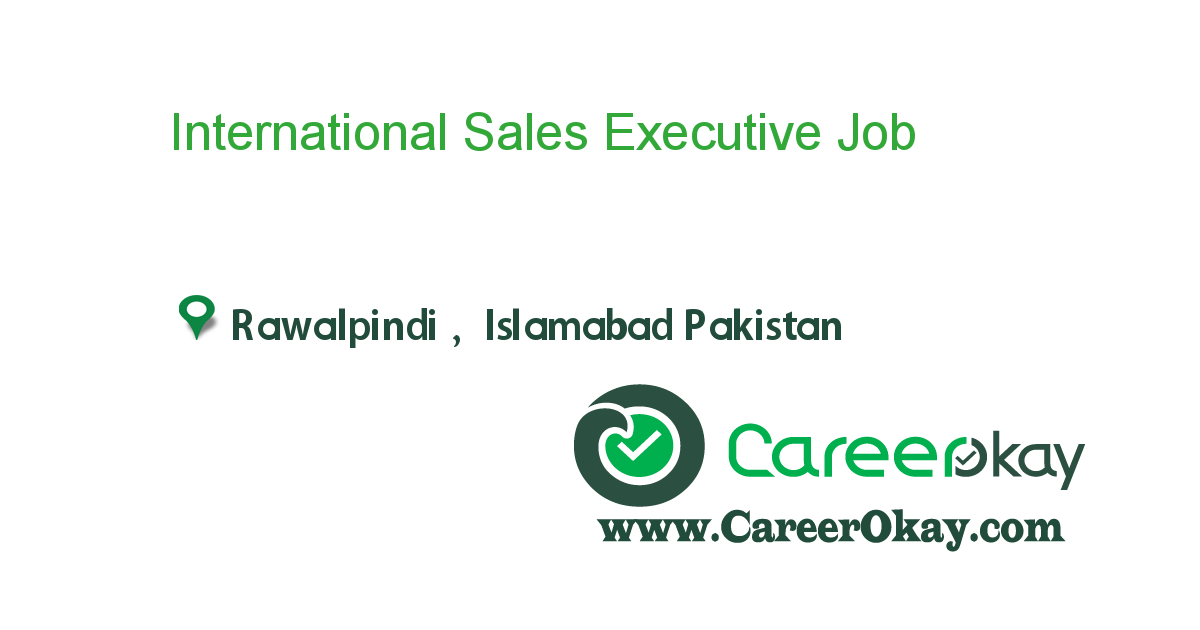 International Sales Executive