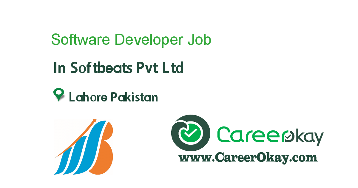 Software Developer