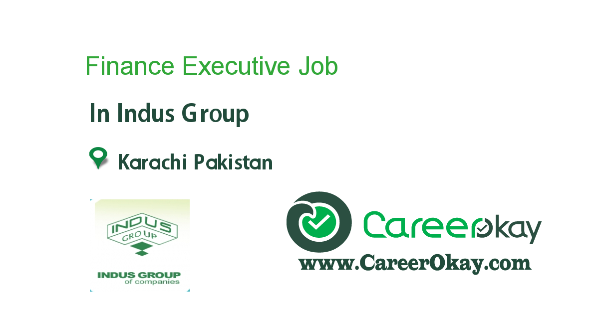 Finance Executive 