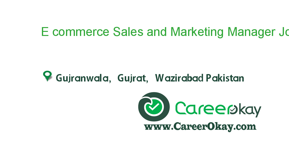 E commerce Sales and Marketing Manager 