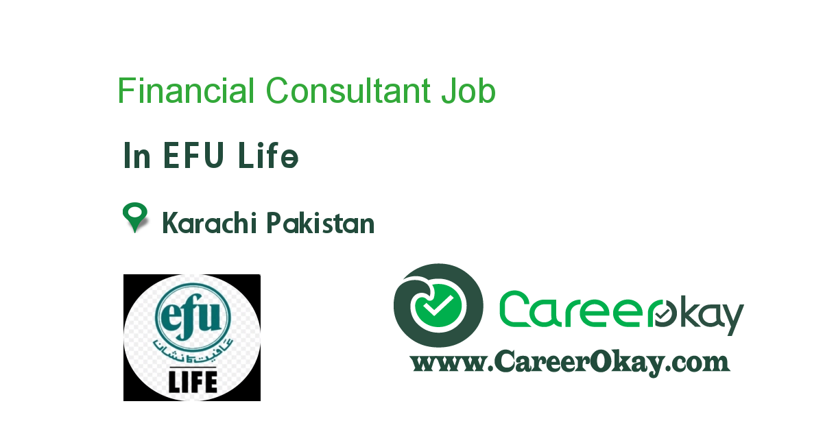 Financial Consultant 