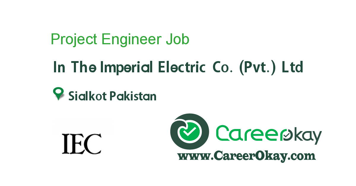 Project Engineer