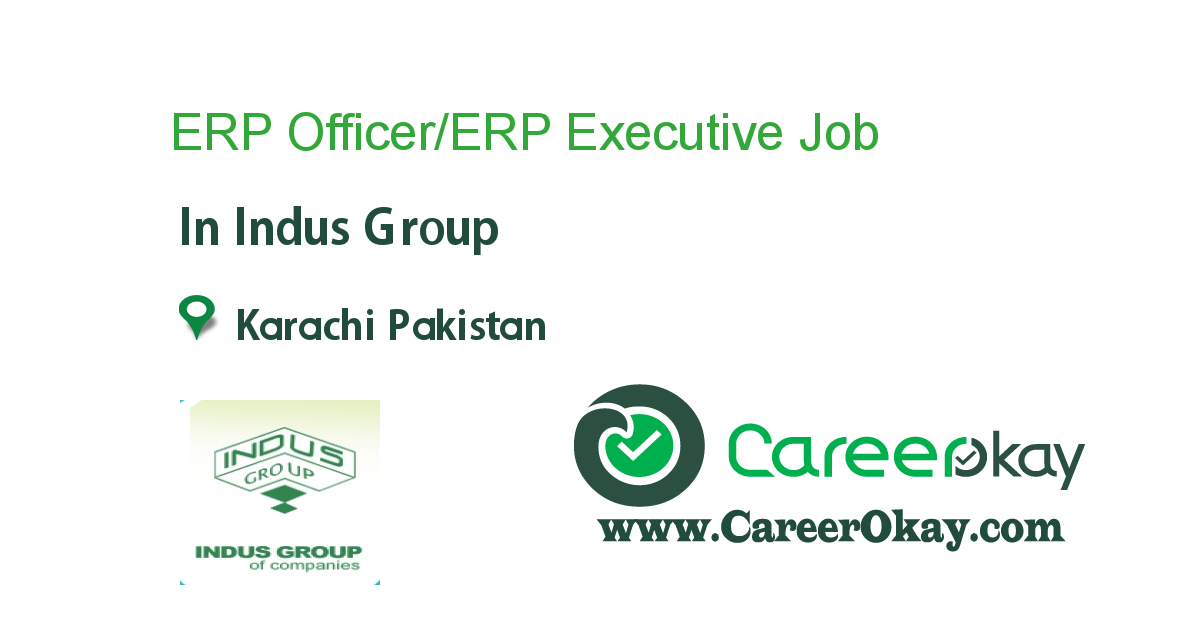 ERP Officer/ERP Executive