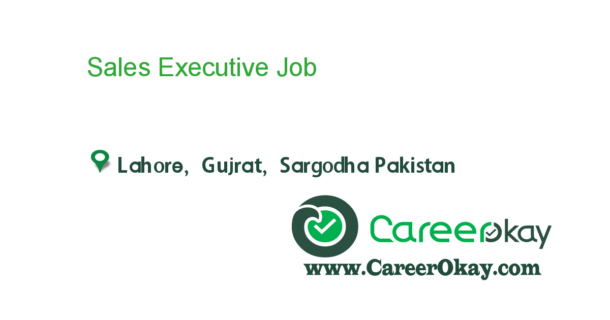 Sales Executive