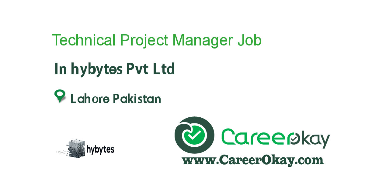 Technical Project Manager 